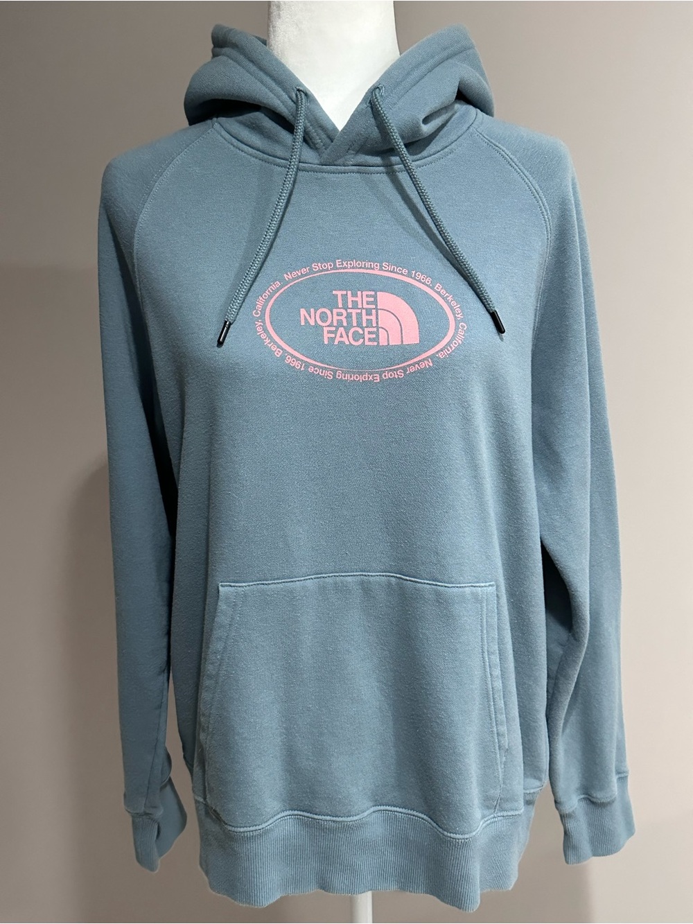 The North Face Never Stop Exploring Pullover Hoodie